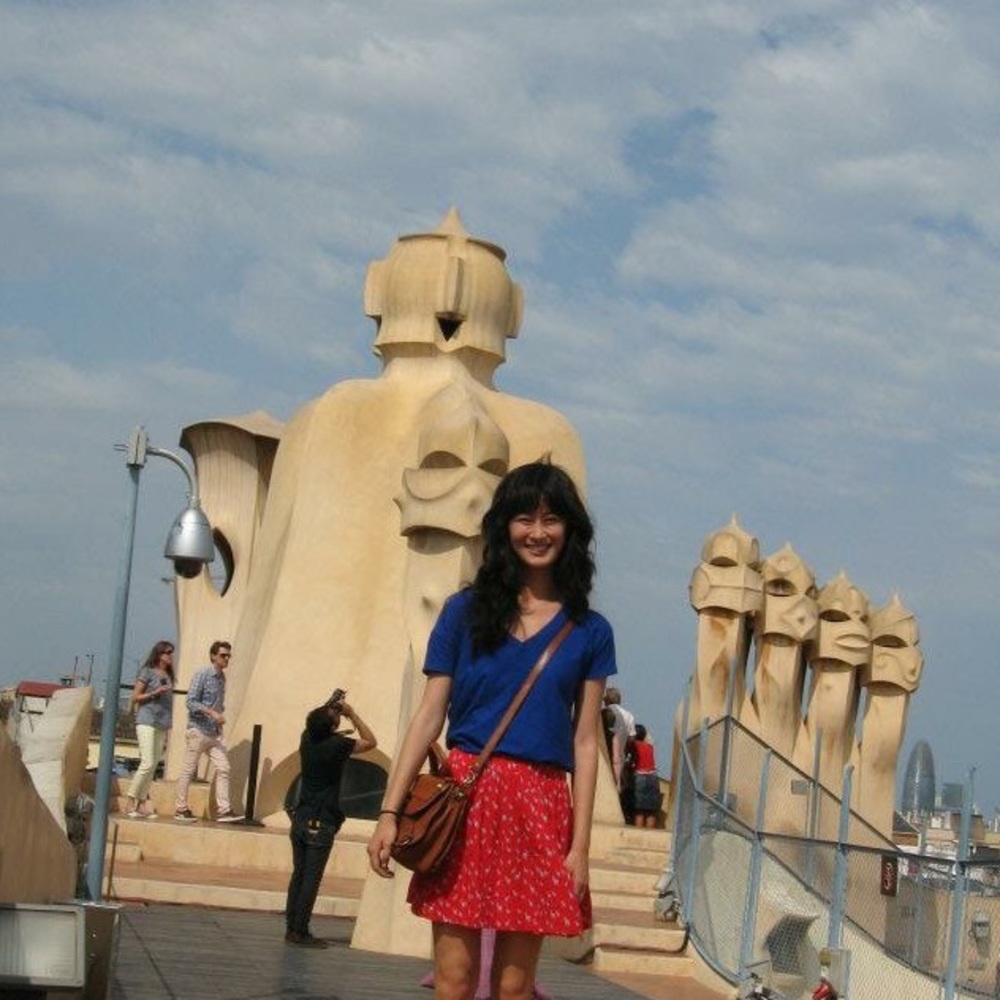 Zara zebra skirt 🦓